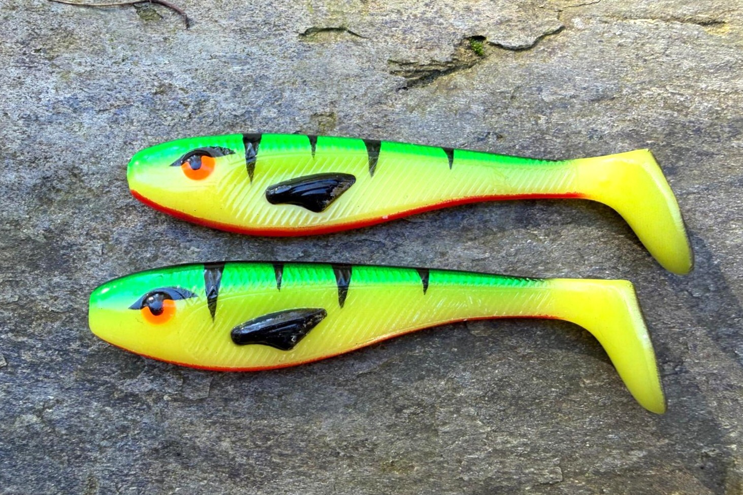 ROCKY 10cm crazy perch 2 szt.  x BRACIA OKOŃ