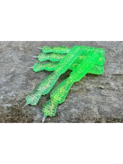 light green 2.jpeg