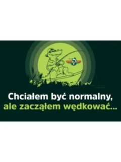 chciałem być normalny.jpg