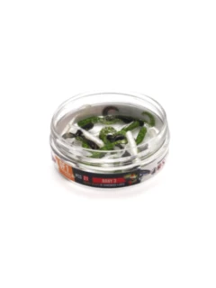 WhatsApp Image 2026-04-10 at 00.23.12.jpeg