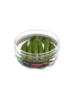 WhatsApp Image 2026-04-09 at 23.05.07.jpeg